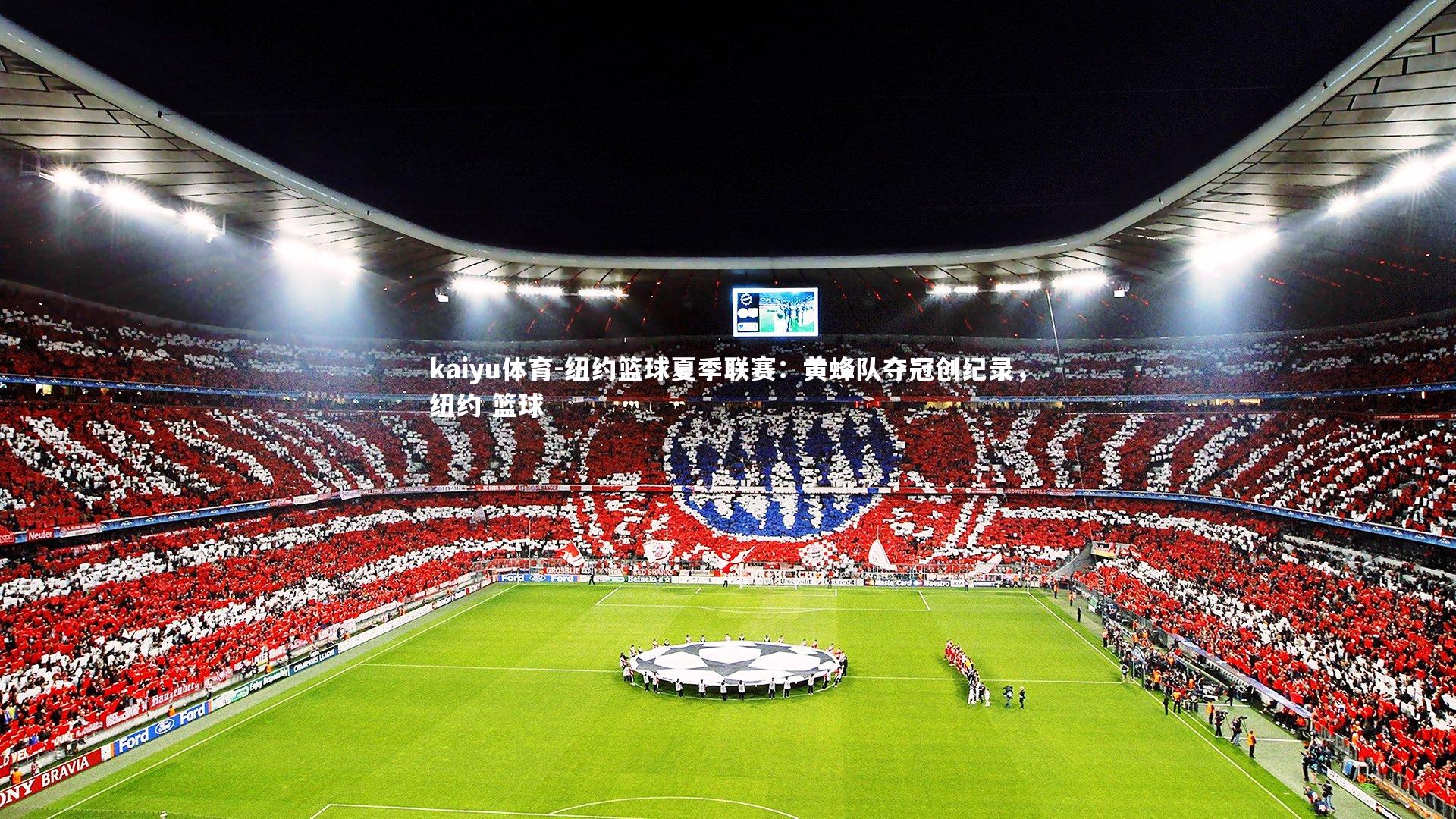 纽约篮球夏季联赛：黄蜂队夺冠创纪录，纽约 篮球