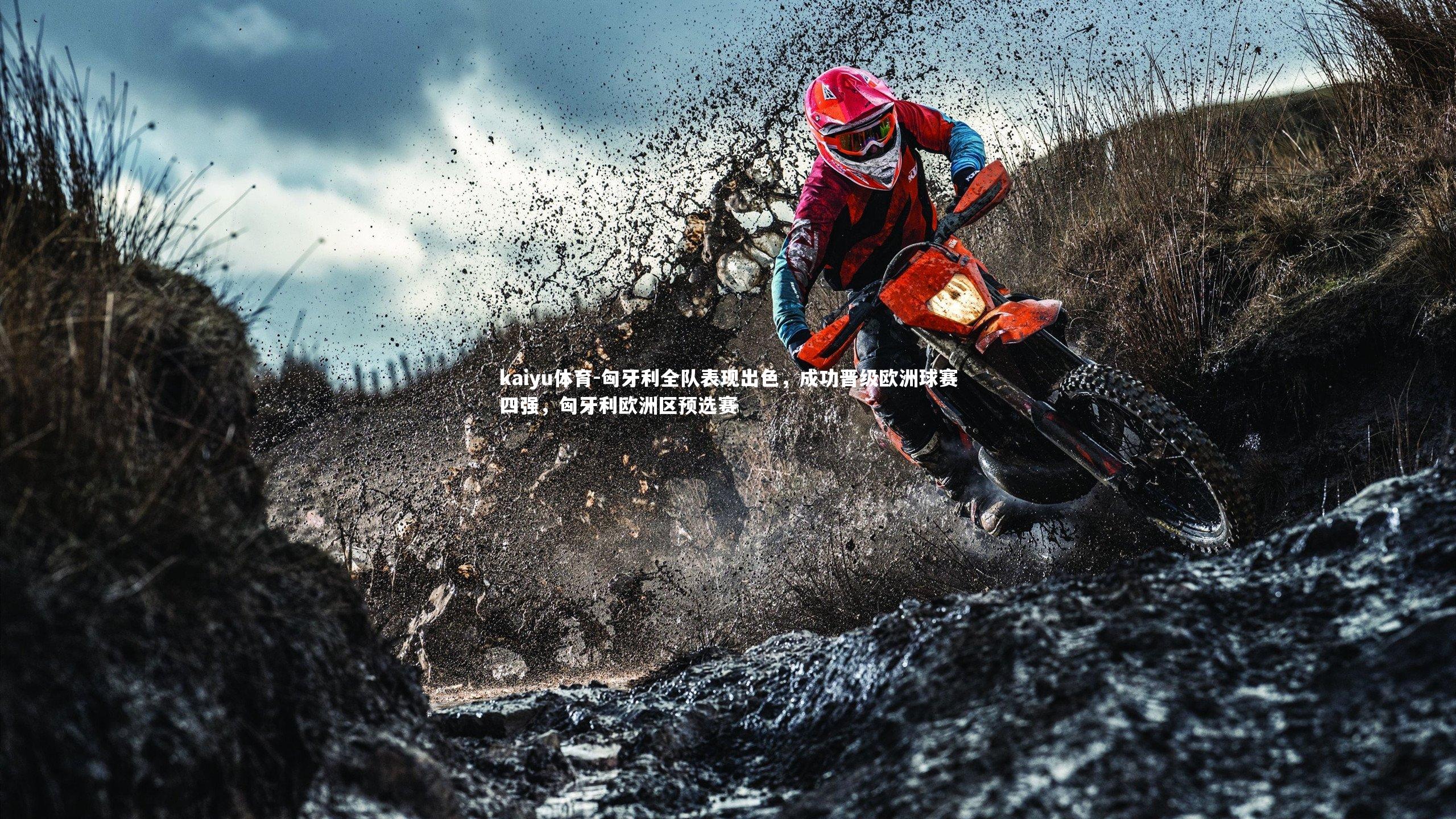 匈牙利全队表现出色，成功晋级欧洲球赛四强，匈牙利欧洲区预选赛