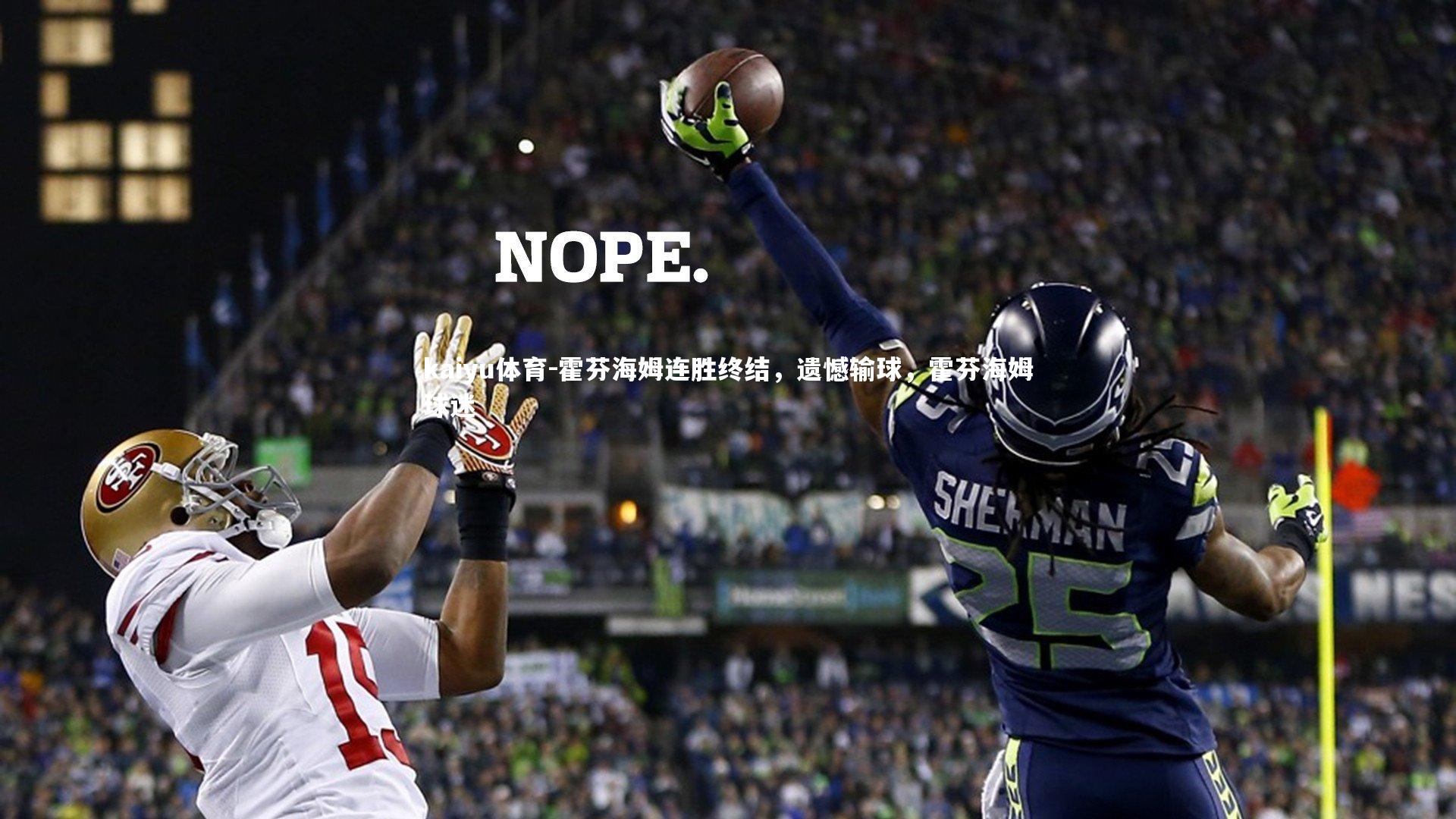 霍芬海姆连胜终结，遗憾输球，霍芬海姆球迷