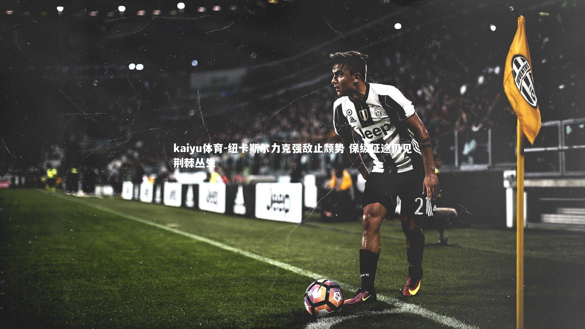 纽卡斯尔力克强敌止颓势 保级征途仍见荆棘丛生