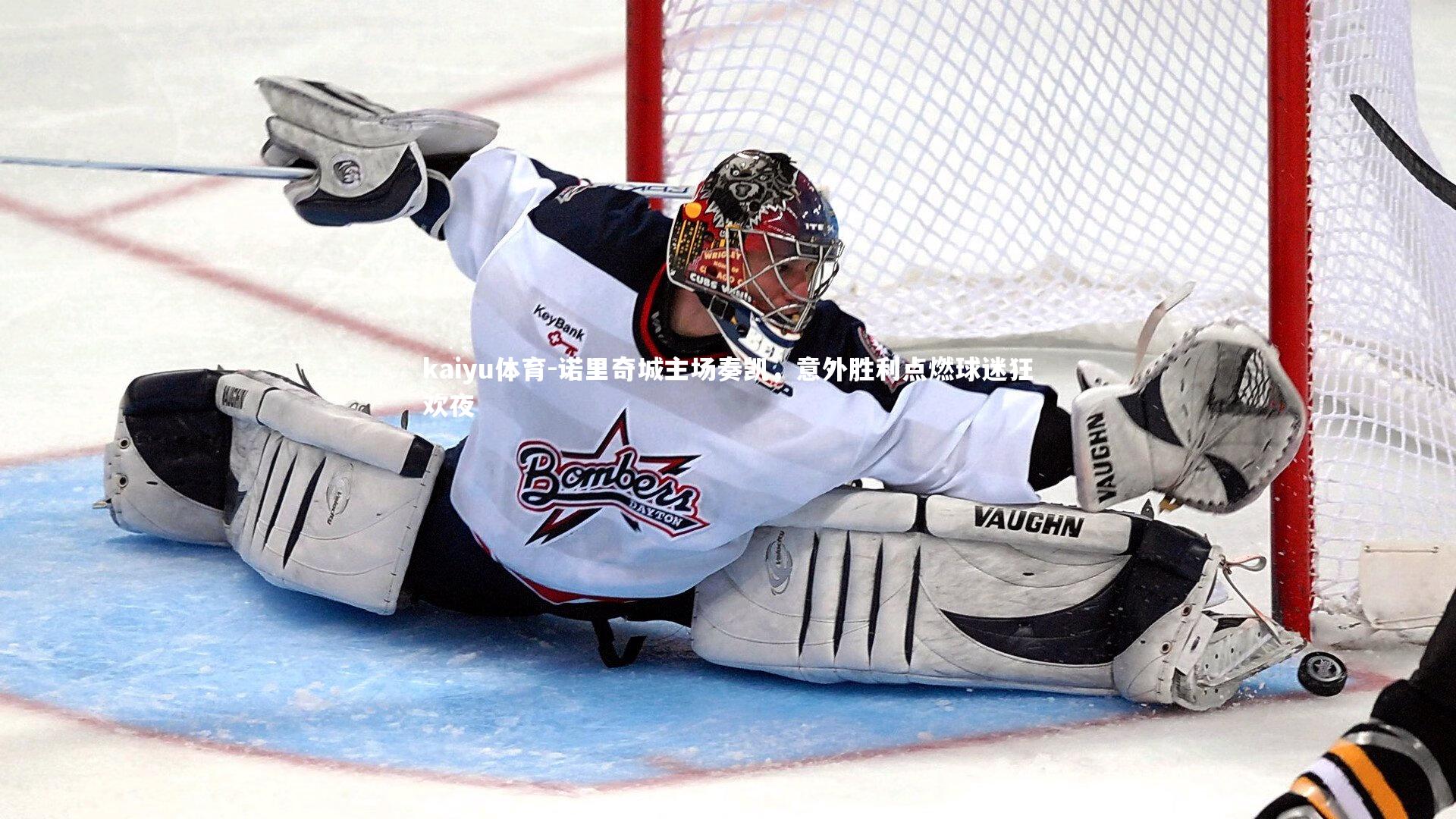 诺里奇城主场奏凯，意外胜利点燃球迷狂欢夜